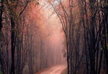 海星体育官网:替补给力!板凳得分对比:湖人46-32火箭.