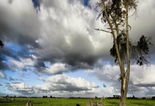 海星体育官网:新兴运动匹克球,为何能得到网球传奇阿加西的钟爱?.