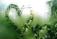 海星体育官网:卢克肖又受伤了!距离上次复出踢了3场比赛98分钟.