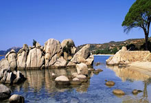 叶诗文:我依然对400米个人混合泳非常渴望3-22 20:40.